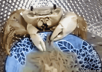 Bir Noodle'ın Kız Arkadaştan Daha İyi Olduğunun Kanıtları Nelerdir?
