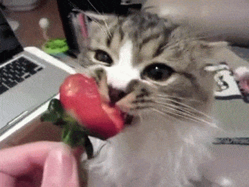 Yaz Aylarının En Gözde Meyvelerinde Çileğin Sağlığa Faydaları ve Çilek Maskesi! 🍓