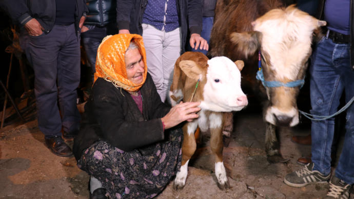 İneği Ölen Sabiha Özel'e Tarım Bakanlığı Yardım Eli Uzattı