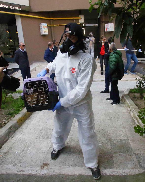 İzmir'de Şikayet Üzerine Bir Eve Giren Ekipler 47 Kedi, 6 Köpek ve 1 Kaplumbağa İle Karşılaştı!