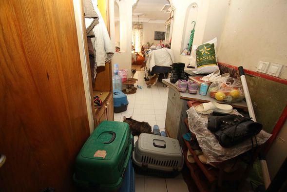 İzmir'de Şikayet Üzerine Bir Eve Giren Ekipler 47 Kedi, 6 Köpek ve 1 Kaplumbağa İle Karşılaştı!