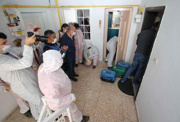 İzmir'de Şikayet Üzerine Bir Eve Giren Ekipler 47 Kedi, 6 Köpek ve 1 Kaplumbağa İle Karşılaştı!