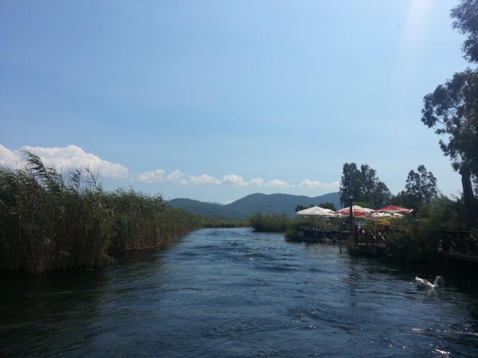 Azmak çayı