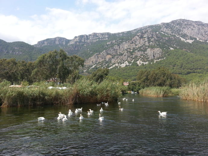 Azmak çayı