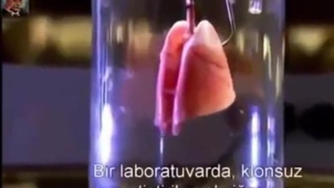 Bilimin geldiği son noktaya inanamayacaksınız!!!