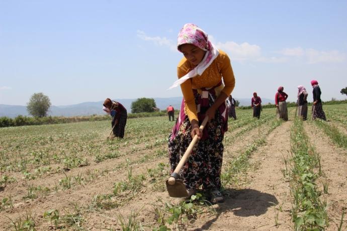 Sıla Gençoğlu Yeni Dövmesini Paylaştı (Ş Harfi Dikkat Çekiyor)