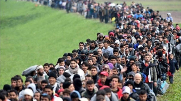 İnsanlık Tarihinin İlk Sosyolojik Vakıası: Göç!