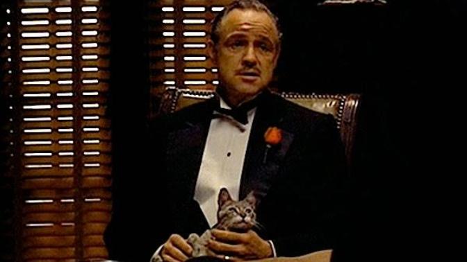 9 Film Hakkında Şaşırtıcı Gerçekler!