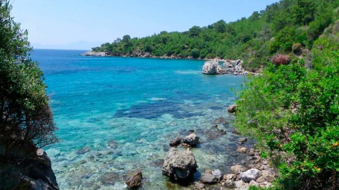 Bakanlık, Ekmeğe Plastik Karıştığını Açıkladı!