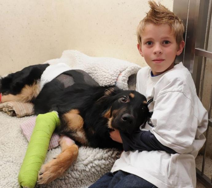 Kahramanlıklarıyla Ünlenen 6 Cesur Köpek!