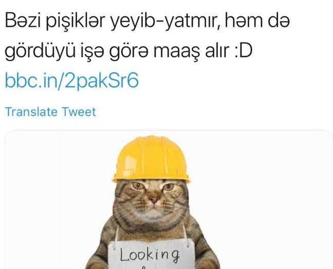 Sen Ne Muhteşem Bir Dilsin: Kardeş Ülke Azerbaycan'ın Derde Deva, Yüz Güldüren Dili Azerice ile Eğlenceli Dakikalar