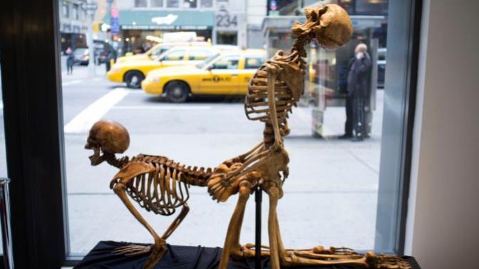 Müze Kültürünüze Yeni Bir Boyut Kazandıracak Birbirinden İlginç 5 Seks Müzesi!
