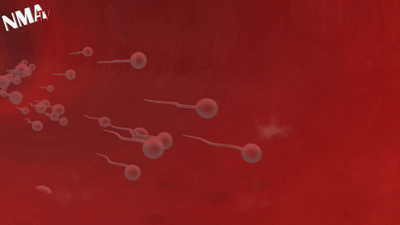 Sperm ve Zevk Suyunun Tadını Güzelleştirerek Oral Seksten Soğumaya Son!