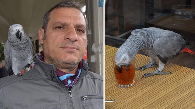 Papağanı da Kendimize Benzettik, Çay İçmeden Duramıyor