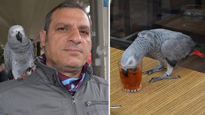 Papağanı da Kendimize Benzettik, Çay İçmeden Duramıyor