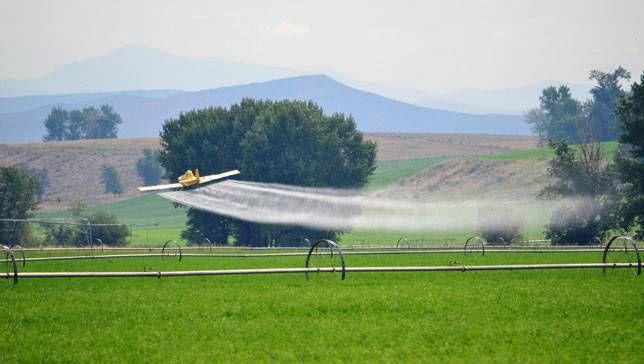Evde Tarımın En Güzel Yollarından Biri: iHarvest!