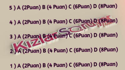 PUAN TABLOSU
