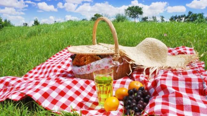 Piknik Sezonu Açıldı, Dükkan Yıldızını da Beraberinde Getirdi! Bakalım Kimmiş Bu  Nisan  Ayı Dükkan Yıldızı?
