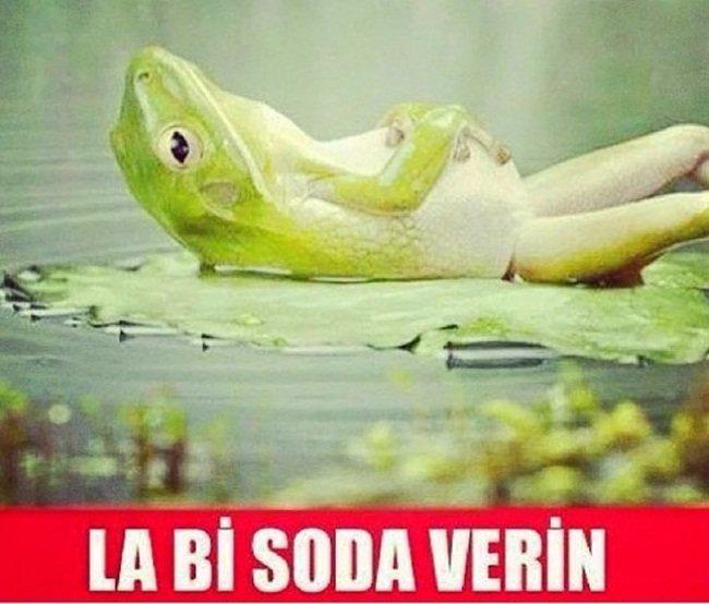 Ramazan Ayında Herkesin Yaşayacağı Muhtemel Durumlar