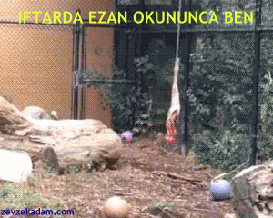 Ramazan Ayında Herkesin Yaşayacağı Muhtemel Durumlar