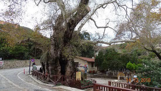 Antakya'da Nerelere Gidilebilir?
