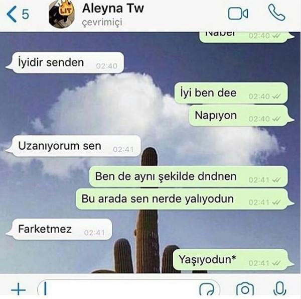 Sanal seks Haciaları
