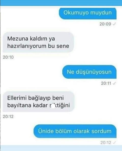 Sanal seks Haciaları