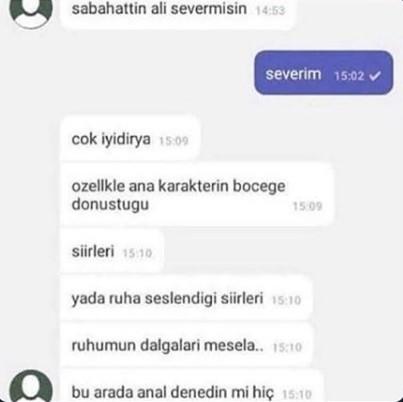 Sanal seks Haciaları