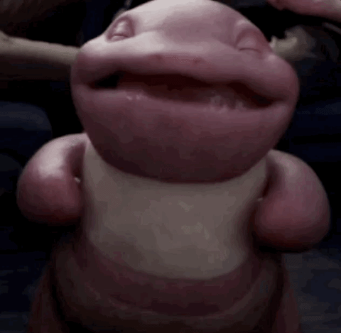 Pokemon Dedektif Pikachu İncelemesi