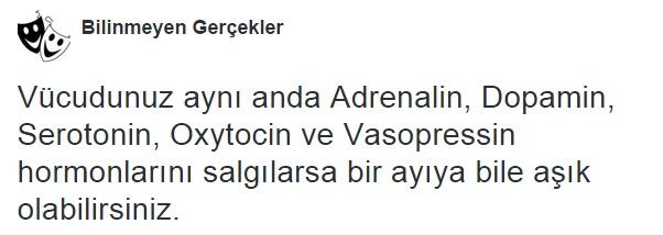 Aşkın Kimyasal Süreçleri...