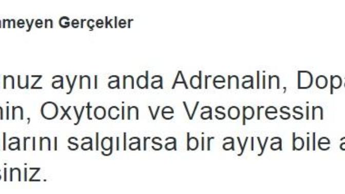 Aşkın Kimyasal Süreçleri