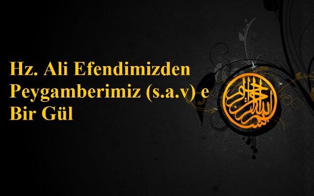 Ayrım olmasın