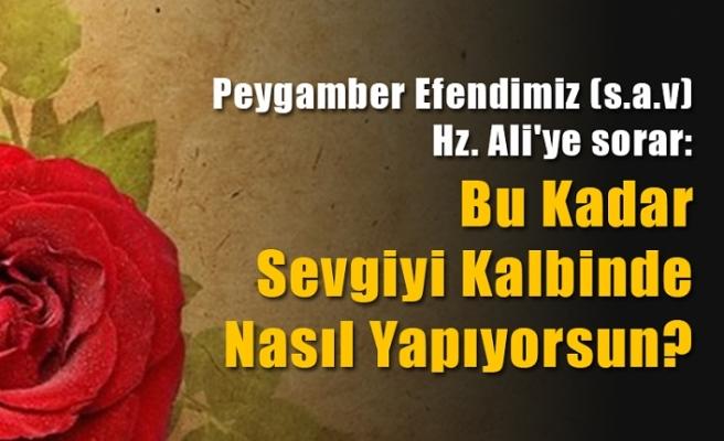 ayrım olmasın