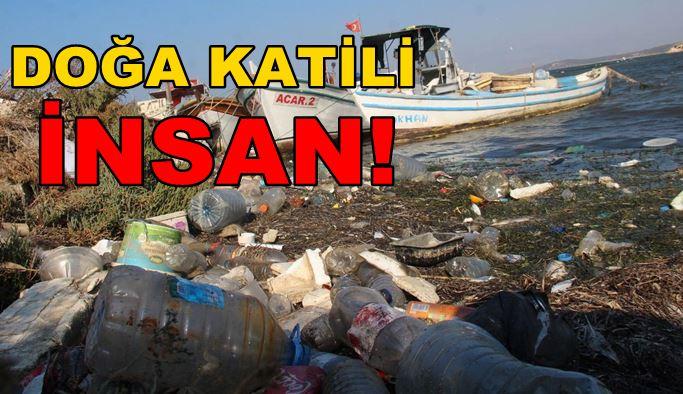 Kirlenen Dünyanın Sorumluları, Doğanın Katili İnsanoğlu!