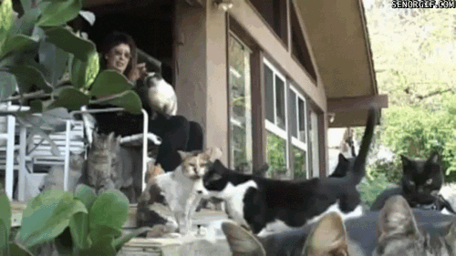 Birbirinden Farklı Özellikleri İle Ponçik Anne Tipleri! Sizin Anneniz Hangisi?