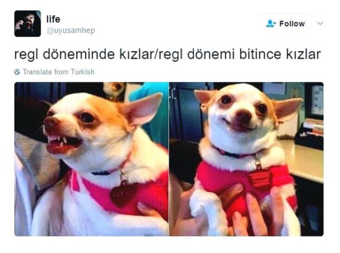 Biz Kızların, Regl Dönemlerinde Asla Yaşamadığı 5 Durum!