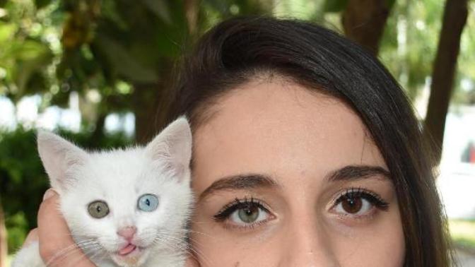 Kedisinin de Sahibinin de Gözleri Çift Renkli! (Simay Şen)