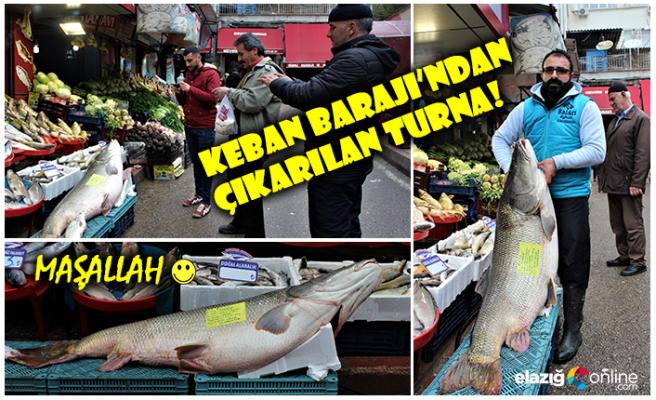 Seyrine Doyum Olmayan Keban Barajı'ndan Mutlu Haber!
