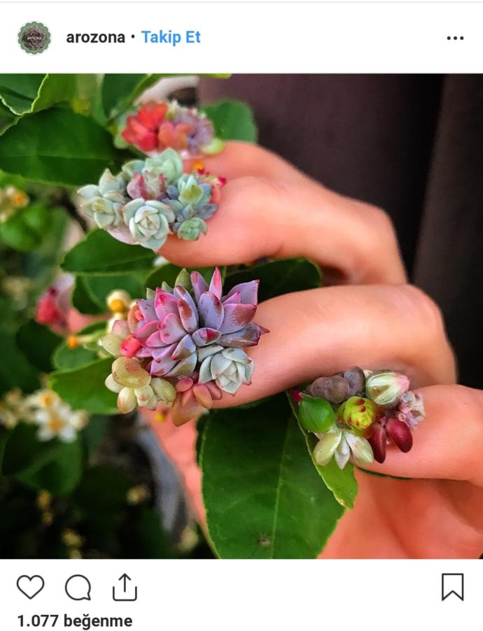 Instagram'ın Çılgın Bloggerları: Yeni Moda Çılgınlık!