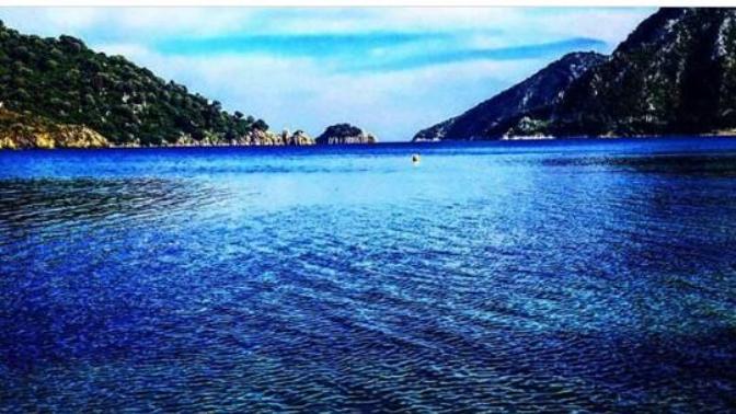 Doğa Bizim Evimiz! Doğayı Koruma Yöntemleri Nelerdir?