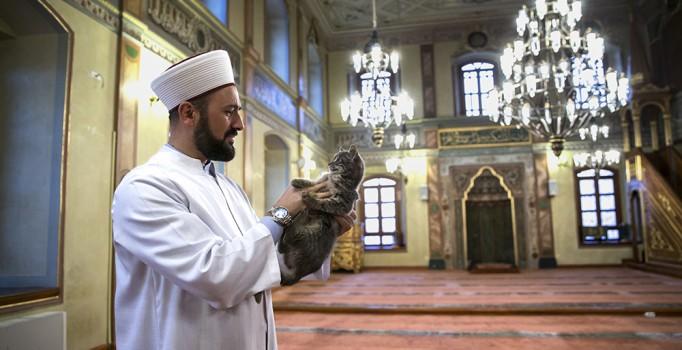 Tarihin ve Kültürün Taşıyıcıları: İstanbul'un Camileri