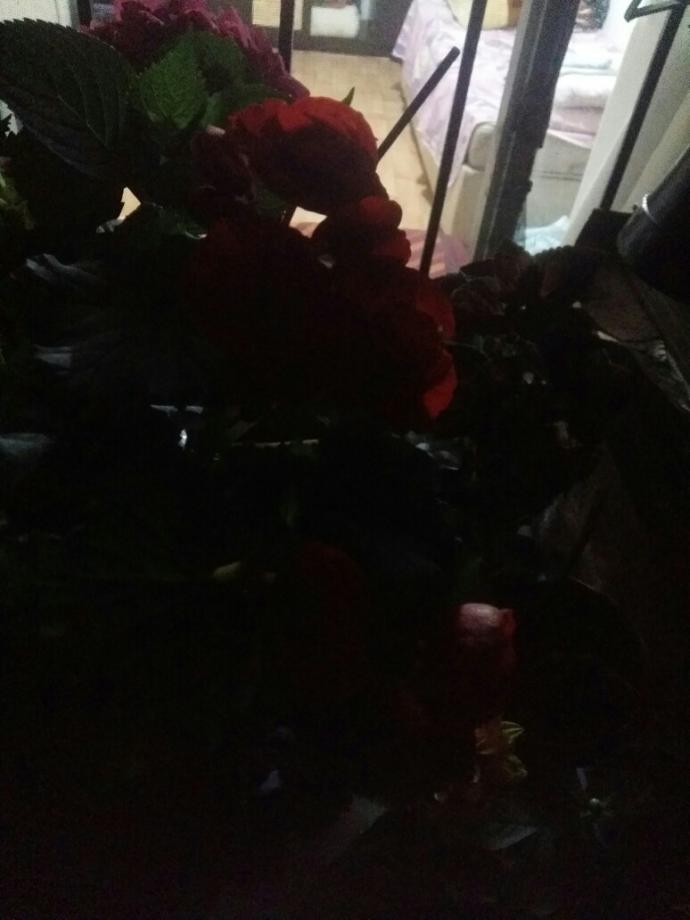 Yaz Mevsiminin Gelmesiyle Evlerimize Renk Katan Çiçekler Nelerdir?