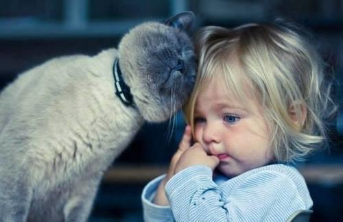 Kedi Gibi Ponçik Olmak İsteyen, Kız Çocukları İçin Kedili Bayram Kombini!