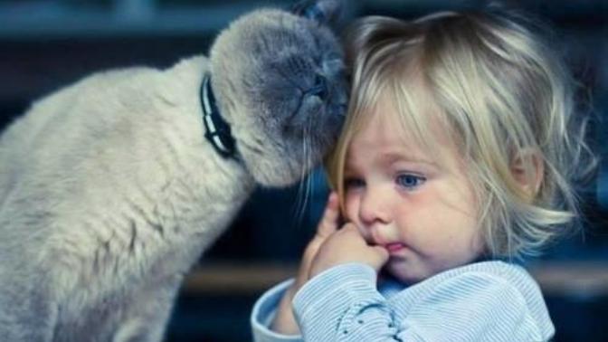 Kedi Gibi Ponçik Olmak İsteyen, Kız Çocukları İçin Kedili Bayram Kombini!