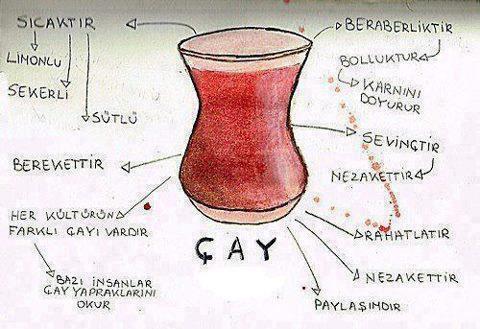 Mistik Bir Çay Analizi: Sahi Nedir Bu Çay?