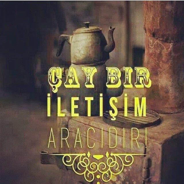 Mistik Bir Çay Analizi: Sahi Nedir Bu Çay?