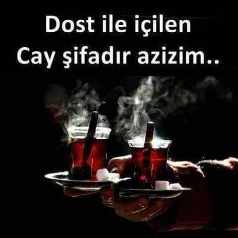 Mistik Bir Çay Analizi: Sahi Nedir Bu Çay?