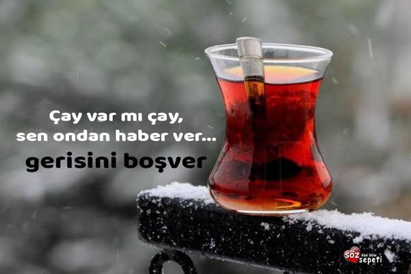 Mistik Bir Çay Analizi: Sahi Nedir Bu Çay?