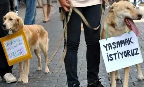 İnsanoğlu! Yaratılmış En Yüce Varlık İnsanoğlu!