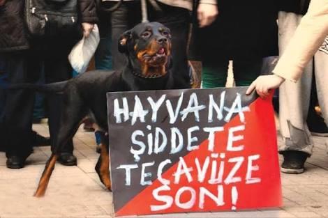 İnsanoğlu! Yaratılmış En Yüce Varlık İnsanoğlu!